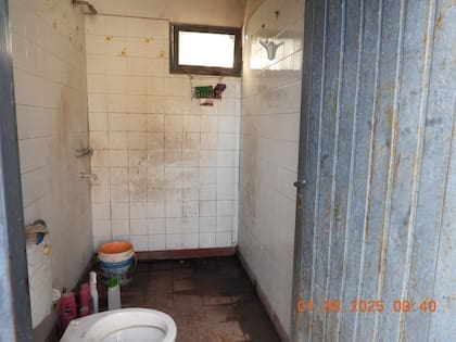 Algunas de las imágenes que ya forman parte del expediente