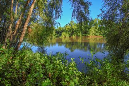 Algunas de las islas que forman parte de este Parque Nacional en Santa Fe