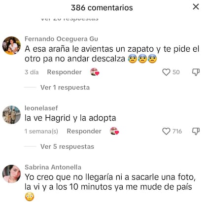 Algunas de las reacciones de los usuarios en TikTok