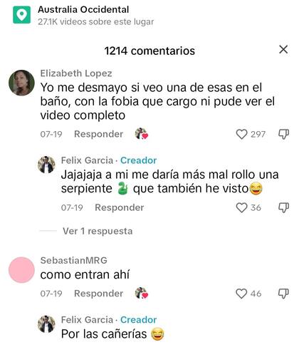 Algunas de las reacciones por parte de los usuarios en TikTok