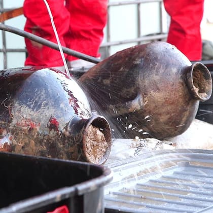 Algunas de las vasijas que se rescataron del naufragio están en perfecto estado