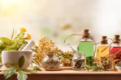 Algunas hierbas utilizadas en la medicina tradicional han mostrado resultados prometedores en el aumento de la testosterona