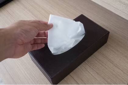 Algunas personas más higiénicas y respetables utilizan un pañuelo de papel para recogerlo y lo tiran después a la papelera o al váter