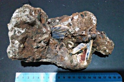 Algunas piezas halladas en la playa presentan ‘concreciones ferrosas’ que son el resultado de una reacción química entre la sal marina, los sedimentos y la corrosión de objetos de hierro. "Estos elementos aparecen con frecuencia en sitios de naufragios”, relata el investigador