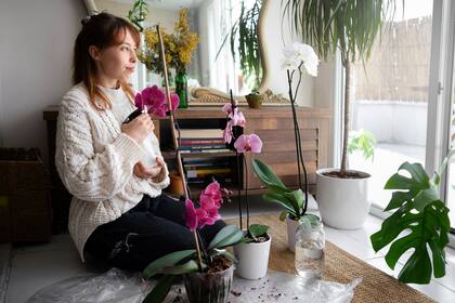 Algunas plantas despliegan toda su belleza y fuerza en pleno invierno, desafiando el frío con su esplendor