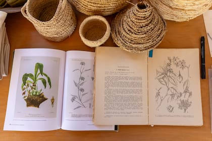 Algunas pruebas de cestería que aprendió de los artesanos del Norte. El último canasto que hizo es de raíces de orquídea.
