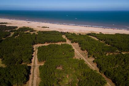 Algunas zonas de Pinamar y Cariló ya se están proyectando para lotearse