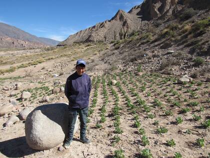 Algunos alumnos aplican lo que aprendieron en sus casas junto a sus familias