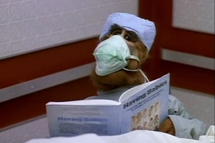 En una de sus pocas salidas de la casa, ALF acompaña a Kate al hospital a dar a luz al tercer hijo de los Tanner
