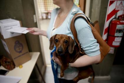 Algunos ciudadanos llevaron a sus mascotas a los lugares de votación