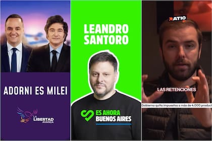 Algunos de los anuncios "más caros" que aparecieron en las plataformas de Meta, de Adorni, Santoro y Francisco Pirovano (streamer de Carajo)