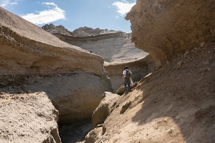 Algunos de los cañadones que se pueden caminar para llegar al mar y ver fauna marina