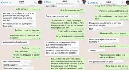 Algunos de los chats que publicó la ex pareja de Agustín Rossi