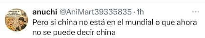 Algunos de los comentarios en redes que se desataron tras el picanteo de Pampita a la China (Foto: Captura X)