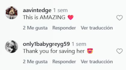 Algunos de los comentarios que dejaron los usuarios en la red social (Foto: Captura Instagram/@dallasserviceanimal)