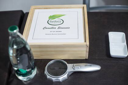 Algunos de los elementos que Bustos utiliza para catar agua