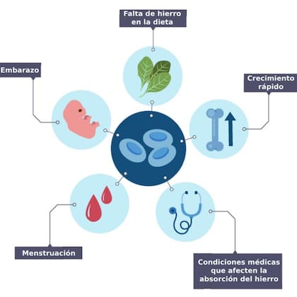 Algunos de los factores que pueden conducir a la anemia ferropénica