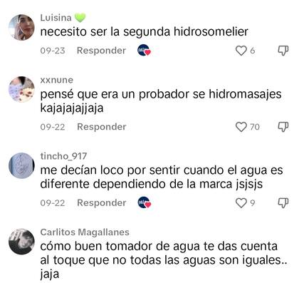 Algunos de los mensajes por parte de los s en TikTok