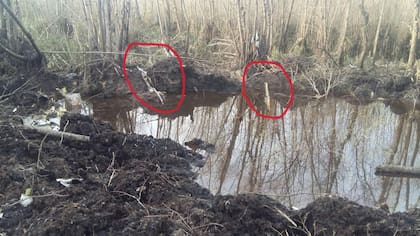 Retirar todas las partes del avión demandó 45 días