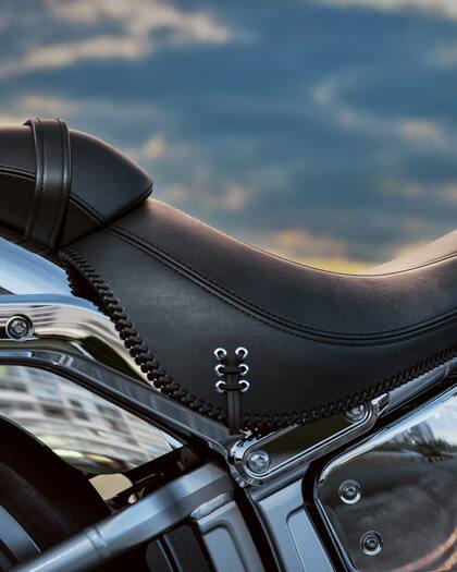 Algunos detalles en el tapizado del modelo edición aniversario