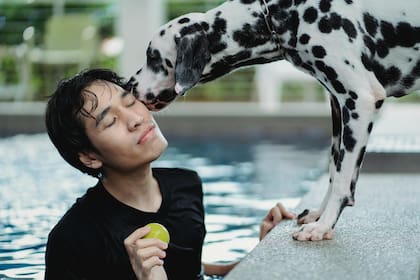 Algunos estudios relacionan a las bacterias de los perros con el desarrollo de alergias y asma en humanos