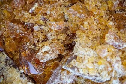 Algunos expertos españoles afirman que la resina de pino podría ser una alternativa viable al petróleo.