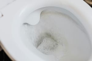 Los seis trucos infalibles y caseros para mejorar la descarga de agua de tu inodoro