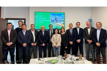 Algunos miembros de la delegación legislativa que viajará a Brasil