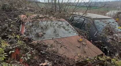 Algunos modelos no se podían identificar por la vegetación que los cubría