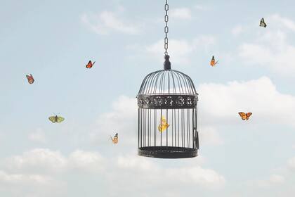 Algunos pacientes describieron el cáncer como un “encarcelamiento”, una sensación de estar atrapado, como un “pájaro libre en una jaula"