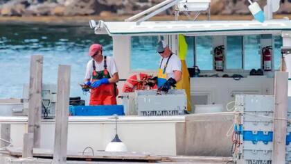 Algunos pescadores de langostas han tenido altercados en la "zona gris"