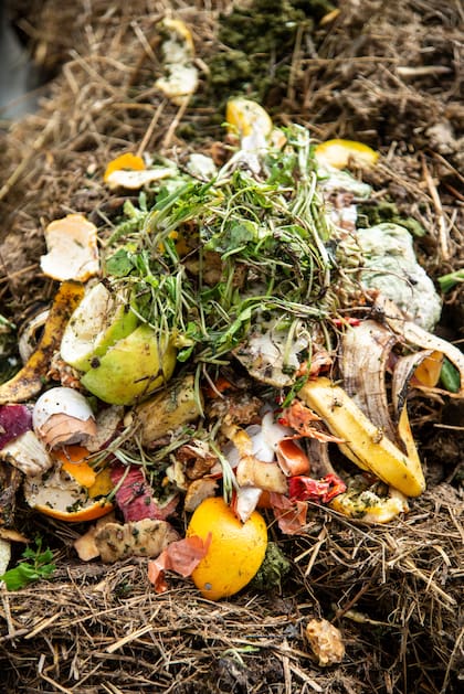 Algunos restos de comida pueden enterrarse directamente en los canteros o usarse como mulch
