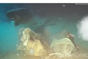 Lanzaron una vaca a las profundidades del mar de China: científicos querían simular el hundimiento de una ballena