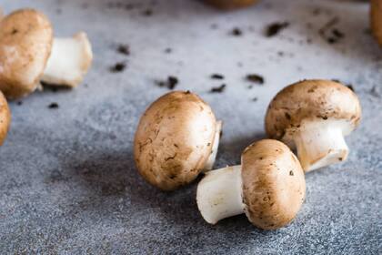 Algunos tipos de hongos comestibles tienen altos niveles de melatonina