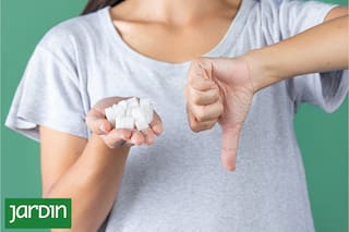 Qué pasa realmente si regás tus plantas con leche o con agua con azúcar