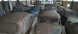 Se metieron en un galpón abandonado y lo que encontraron los descolocó