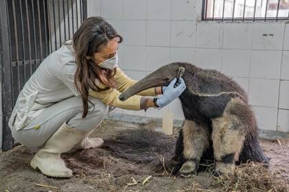 Alicia Delgado y Sarah.