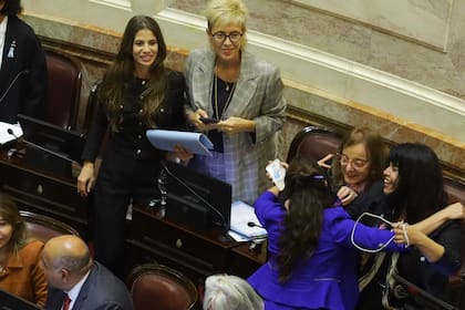 Alicia Kirchner festeja el rechazo al proyecto de ficha limpia