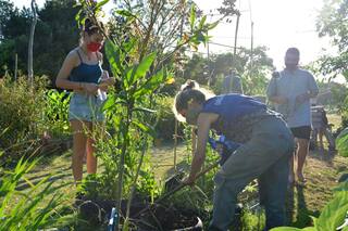 El boom de las huertas comunitarias: cómo se organizan los vecinos
