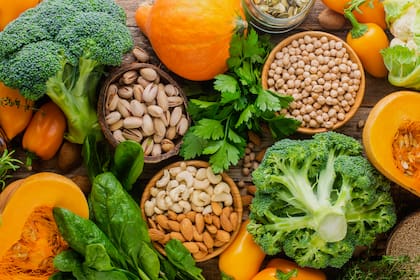 Alimentación rica en proteínas
