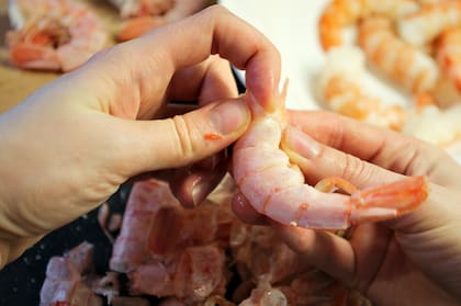 Alimentos como la res, pollo y mariscos aportan colágeno