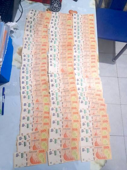 Allanamientos, secuestro de drogas y detenciones en una investigación de la PSA contra una banda de narcotraficantes de La Matanza