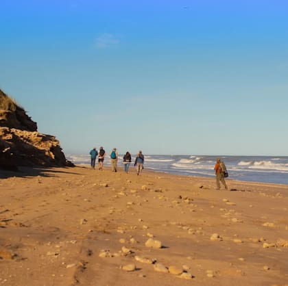 Allí se pueden realizar largas caminatas en sus playas vírgenes