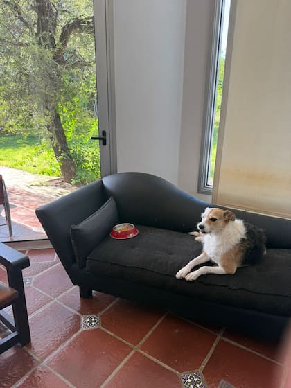 Alma es independiente y disfruta de sus propios espacios