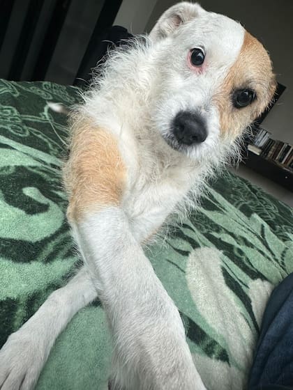 Alma es muy tierna y sabe transmitir lo que quiere