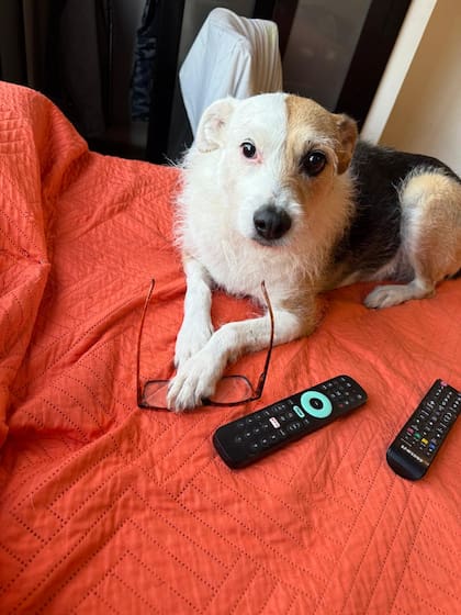 Alma le tiene miedo a las tormentas y los relámpagos