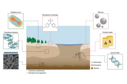 Almacenamiento de peligros del permafrost ártico