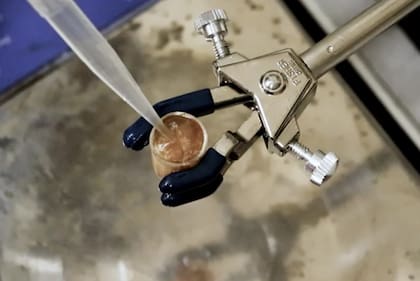 Las moléculas creadas en la Universidad de California capturaron suficiente energía para hervir una pequeña cantidad de agua.