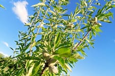 “Cambiar el paradigma”: un novedoso proyecto busca transformar una región productiva difícil y que no haya más frustración