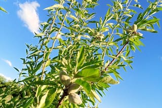 Un novedoso proyecto busca transformar una región productiva difícil y que no haya más frustración